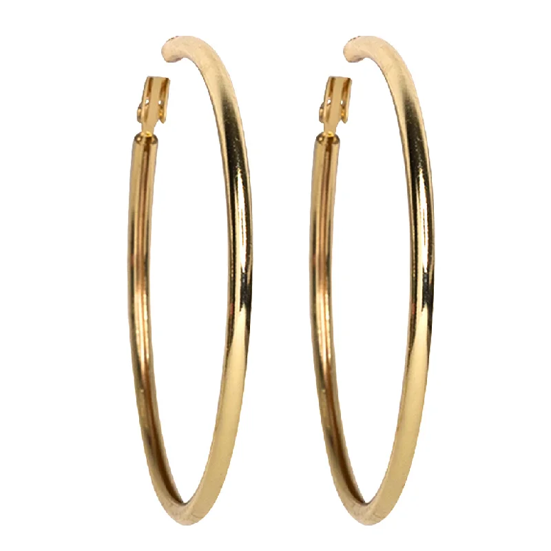 Small Gold Hoop Pierced Earrings